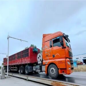 Ein guter Preis. Gewichtungsskala für Ballastmaschine Online